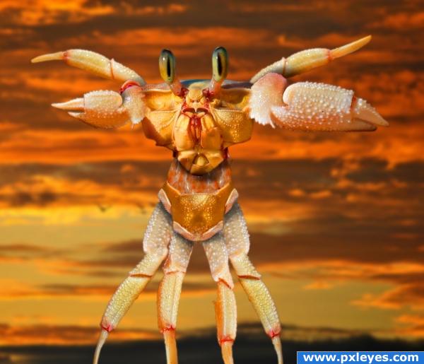 Crab Man